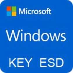 Microsoft WINDOWS SERVER 2019 STD 32/64 Licenza ESD - Attivazione on-line